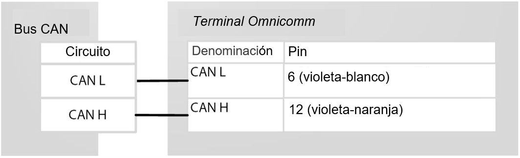Conexión al Bus CAN Conexión al Bus CAN