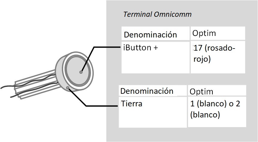 Conección de iButton Conección de iButton
