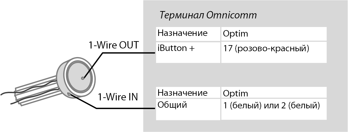 Подключение iButton 